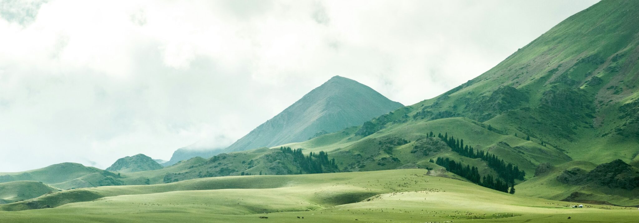 Jeremy cai uc Y We5mz TMU unsplash