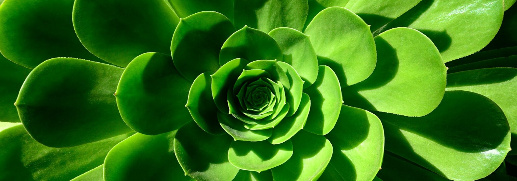 Max bohme w0f0 QO Sqx LI unsplash