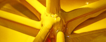 Pascal Vandecasteele Photography 8331