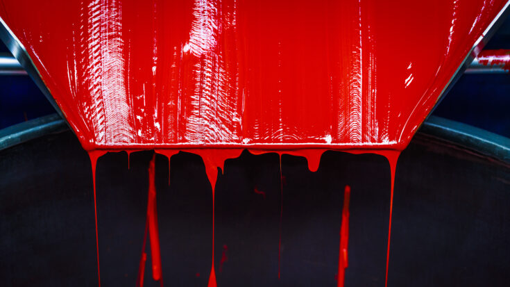 Pascal Vandecasteele Photography 8339